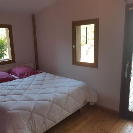Charmant Appartement Vue Sur La Riviere. Albi Exterior foto