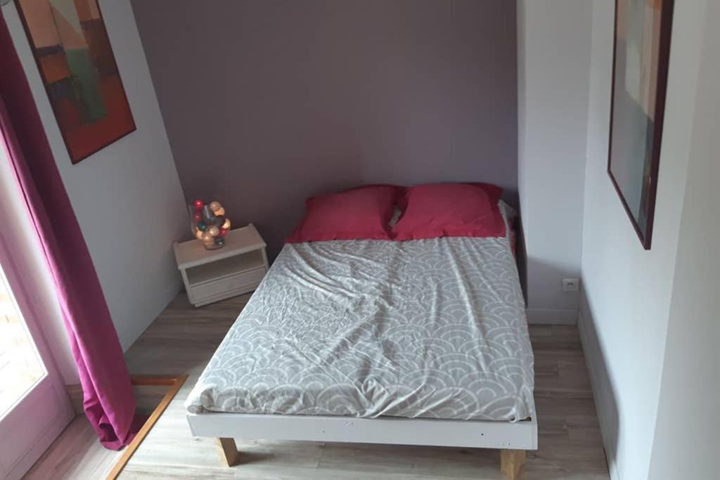 Charmant Appartement Vue Sur La Riviere. Albi Exterior foto