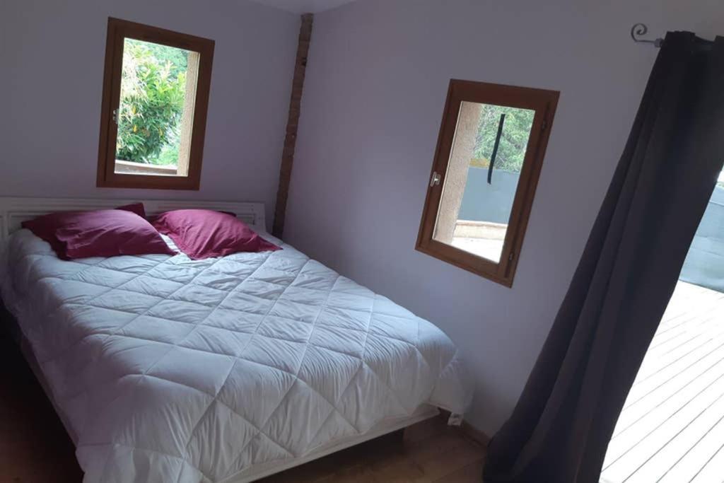 Charmant Appartement Vue Sur La Riviere. Albi Exterior foto