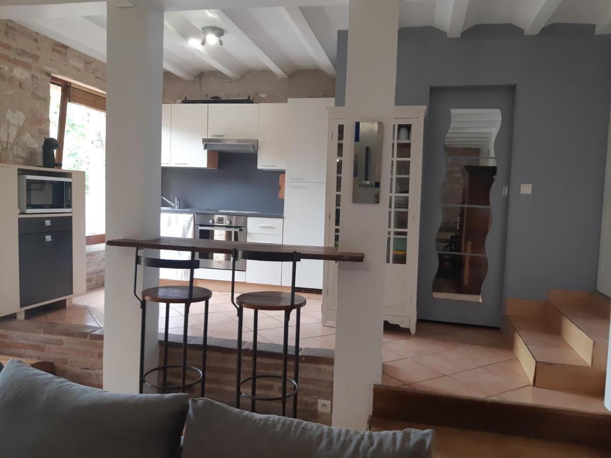 Charmant Appartement Vue Sur La Riviere. Albi Exterior foto