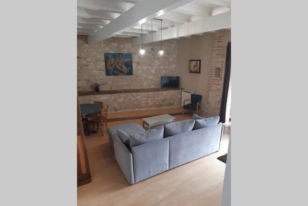 Charmant Appartement Vue Sur La Riviere. Albi Exterior foto